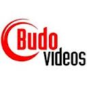 Budovideos Coupons