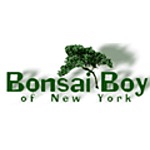 Bonsai Boy of New York Coupon