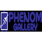 Phenom Gallery Coupon