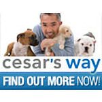Cesar's Way Coupon