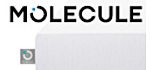 Molecule
